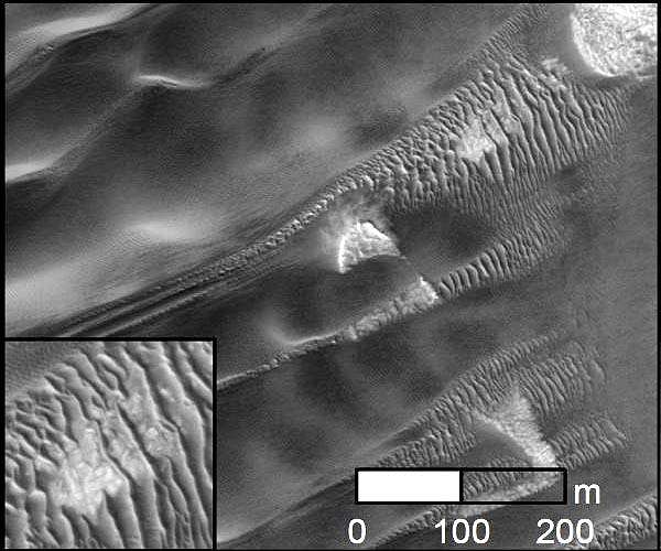 Widespread megaripple activity on Martian North Pole