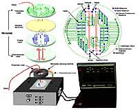 Scientists To Develop Organic Analyzer To Find Life On Mars