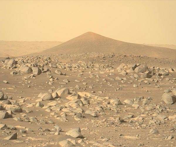 A Day in the Life of a T-DOC