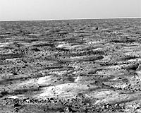 Phoenix Lands On Mars