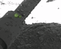 Research Demonstrates Potential For Liquid Water On Present-Day Mars