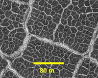 Patterns In Mars Crater Floors Give Picture Of Drying Lakes