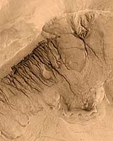 NASA Adds To Mars Global Surveyor Photo Album