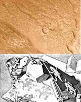 Mars Water, Escher-style Puzzle