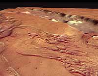 Jumping Genes And The Red Planet