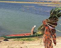 Ecological collapse circumscribes women's work in Mesopotamian marshes