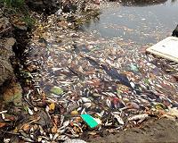 Paris climate deal could save millions of fish, livelihoods