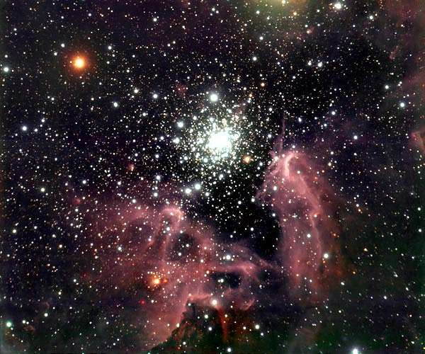 Massive binary star system confirmed in Milky Way cluster