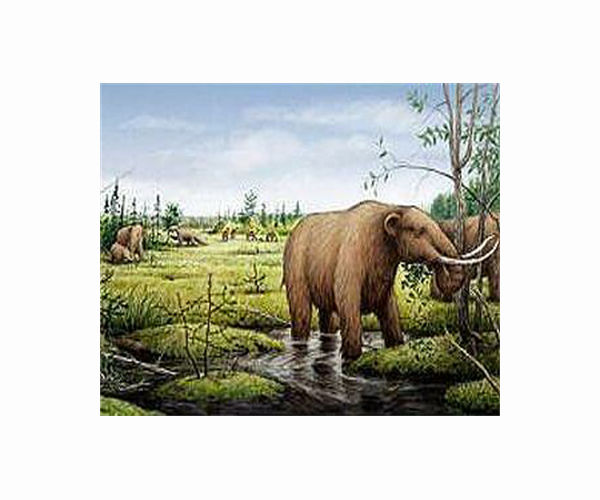 Mastodons migrated vast distances in response to climate change
