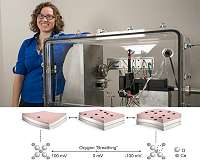 Materials bend as they 'breathe' under high temperatures
