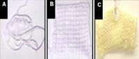 Self-cleaning Smart Fabrics Capable of Environmental Toxin Remediation