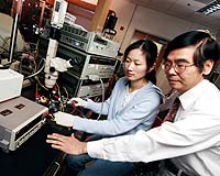 Molecular Wires & Corrosion Control Boost Performance Of Conductive Adhesives