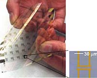 Molecular Breakthrough For Plastic Electronics