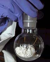 MIT Lab Works To Mimic Spider Silk