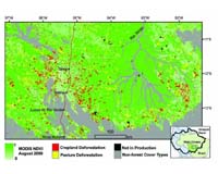 Large-Scale Farming Now Causes Substantial Forest Loss in Amazon