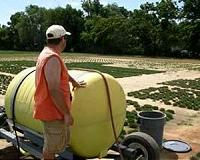 Recycled water, salt-tolerant grass a water-saving pair