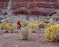 Remarkably diverse flora in Utah, USA, trains scientists for future missions on Mars