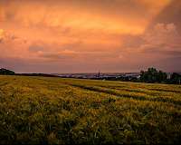 Role of biosphere counteracting climate change may be underestimated