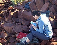 Industry No Threat To Australian Burrup Rock Art
