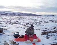 Greening Arctic Not Likely To Offset Permafrost Carbon Release