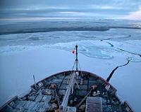 Arctic Ocean rapidly becoming more corrosive to marine species