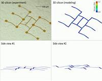 Transforming planar materials into 3-D microarchitectures