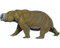 Ancient Australia was home to strange marsupial giants, some weighing over 1,000 kg