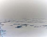 Melting sea ice may lead to more life in the sea