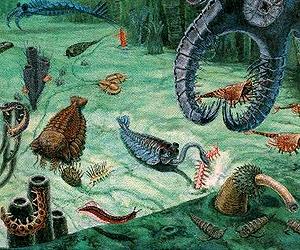 Skeletons In The Pre-Cambrian Closet