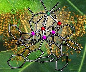 Picking apart photosynthesis