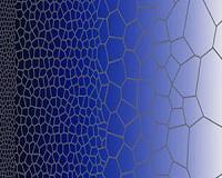 Inspired by Nature, Researchers Create Tougher Metal Materials
