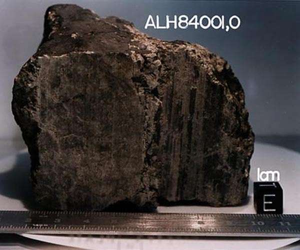 Martian Meteorite's organic materials origin not biological