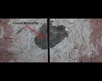 Rare meteorites challenge our understanding of the solar system