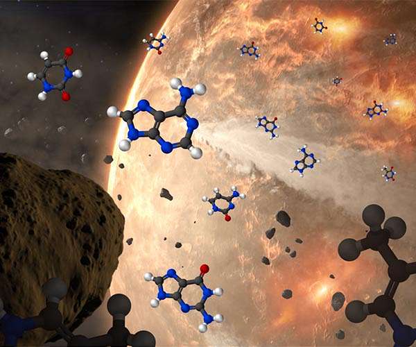 Where did the first sugars come from?
