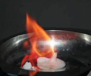 Microbiologists reveal unexpected properties of methane-producing microbe