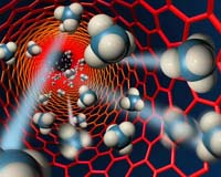 Microbes emit methane without hydrogen gas