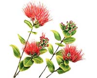Smithsonian Scientists Find Evidence That Could Rewrite Hawaii's Botanical History