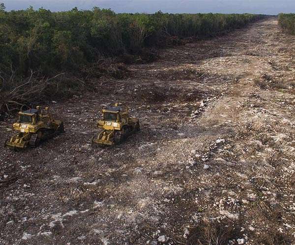 Clearcut logging leads to more frequent flooding, including extreme floods