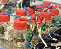 So long lithium, hello bacteria batteries
