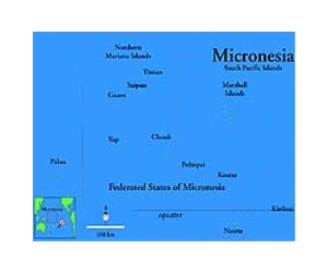 Turtle meat killed six in Micronesia, government says