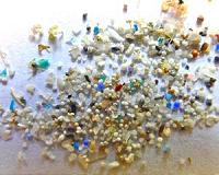 Predicting the movement and impacts of microplastic pollution