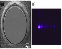 High-Q crystal microresonator fabricated by femtosecond laser