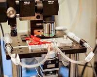 Microscope creates near-real-time videos of nanoscale processes