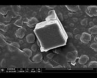Decoding cement's shape promises greener concrete
