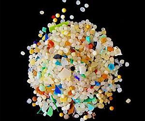 Microplastics make marine worms sick