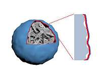 Researchers tackle a new opportunity to develop high-energy batteries