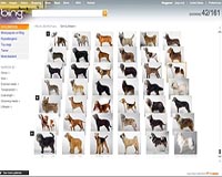 Microsoft testing 'Visual Search'