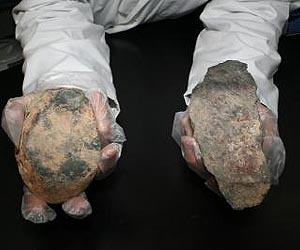 Stone Age Humans Needed Bigger Brains For Better Tool Design