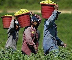 Farmworkers feel the heat even when they leave the fields