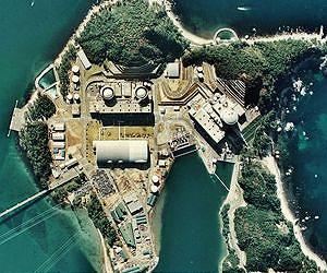 Japan to go nuclear-free during safety checks